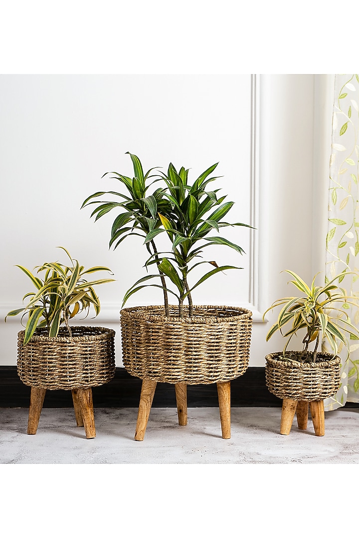 Brown Natural Seagrass & Wood Handmade Woven Planter Set by DecorTwist