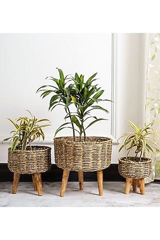 Brown Natural Seagrass & Wood Handmade Woven Planter Set by DecorTwist