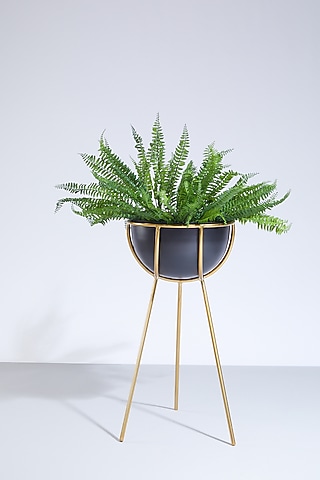 Black & Gold Tripod Planter by Dune Homes