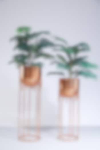 Rose Gold Drizzle Planters (Set of 2) by Dune Homes
