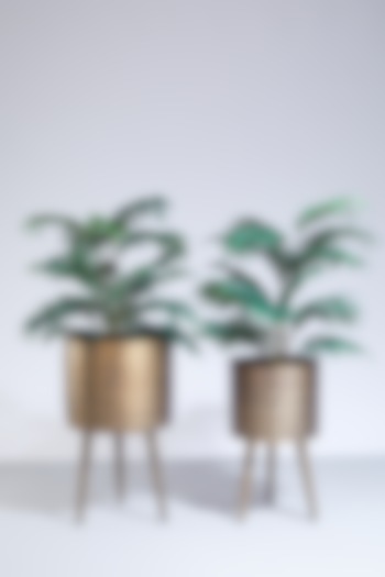 Bronze Planters (Set of 2) by Dune Homes