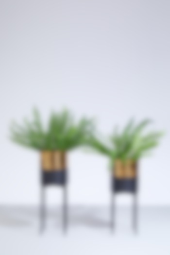 Gold & Black Planters (Set of 2) by Dune Homes