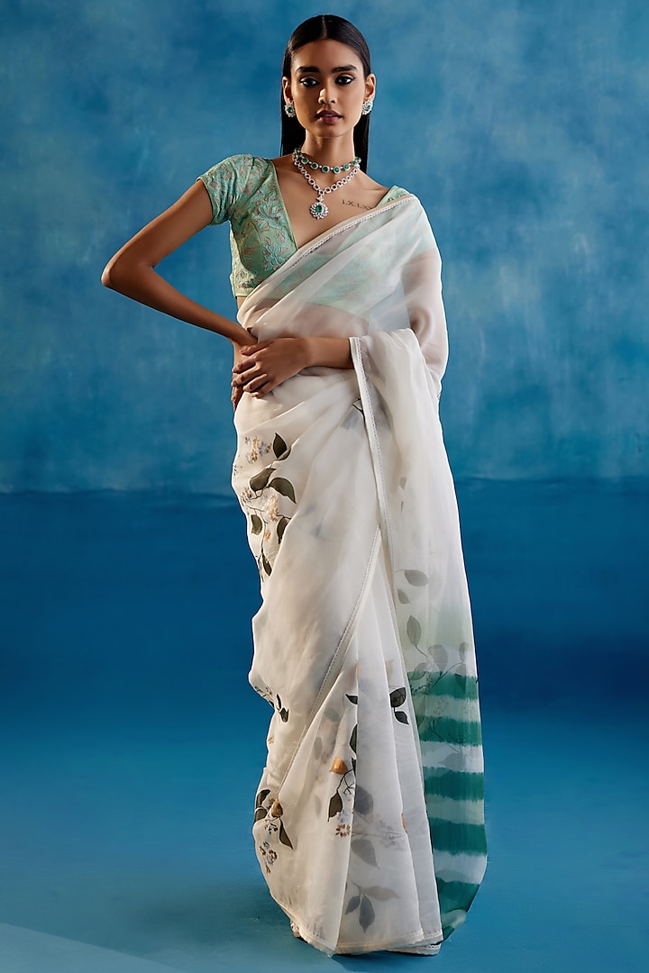 Sage Green Silk Organza Thread Embroidered & Floral Hand-Painted Saree Set by Devnaagri