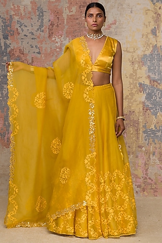 Chitrangda Singh Inspired Blouse Designs