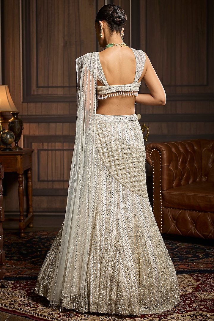 Silver Tulle Embellished Mermaid Skirt Reception Saree Set by DiyaRajvvir at Pernia's Pop Up Shop