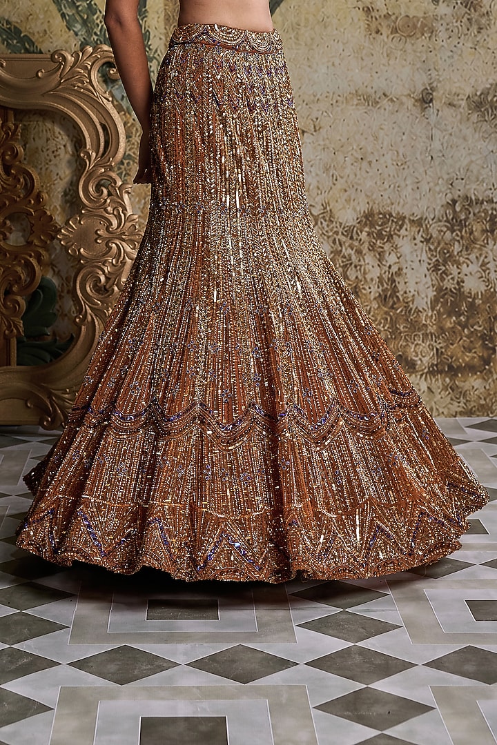 Burnt Orange Tulle Embroidered Mermaid Skirt Set by DiyaRajvvir at Pernia's Pop Up Shop