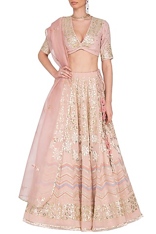 Blush Embroidered Lehenga Set by Devnaagri