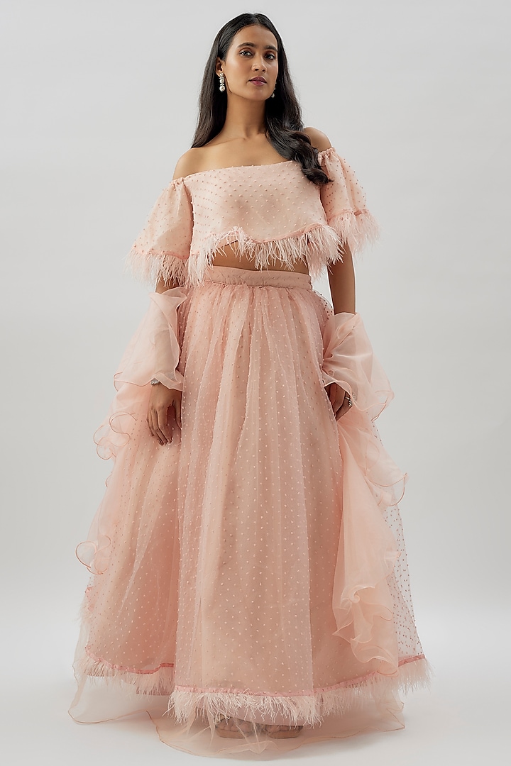 Peach Net & Textured Organza Lehenga Set by Divya Kanakia at Pernia's Pop Up Shop