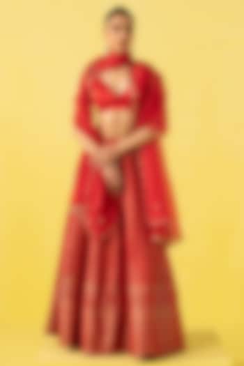 Red Silk Banarasi Kadhwa work Handwoven Lehenga Set by Ekaya