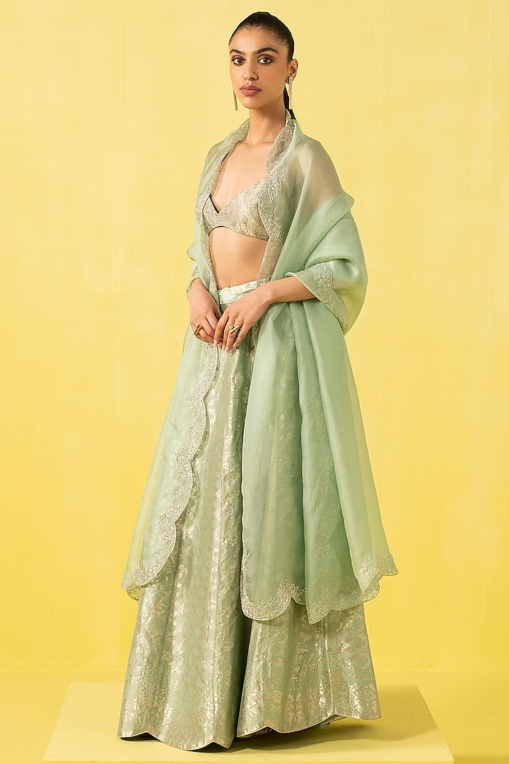 Green Silk Banarasi Kadhwa work Handwoven Lehenga Set by Ekaya