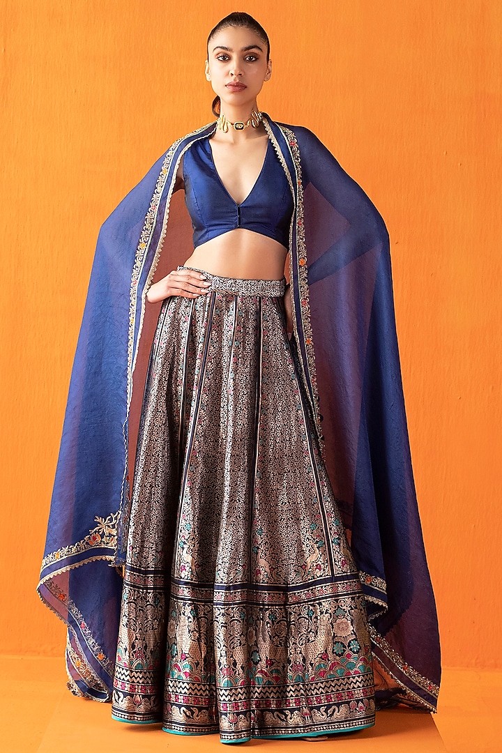 Blue Silk Zari & Banarasi Kadhwa Work Handwoven Lehenga Set by Ekaya