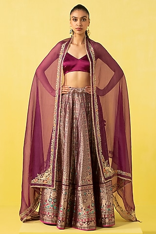Garnet Silk Banarasi Kadhwa Work Handwoven Lehenga Set by Ekaya