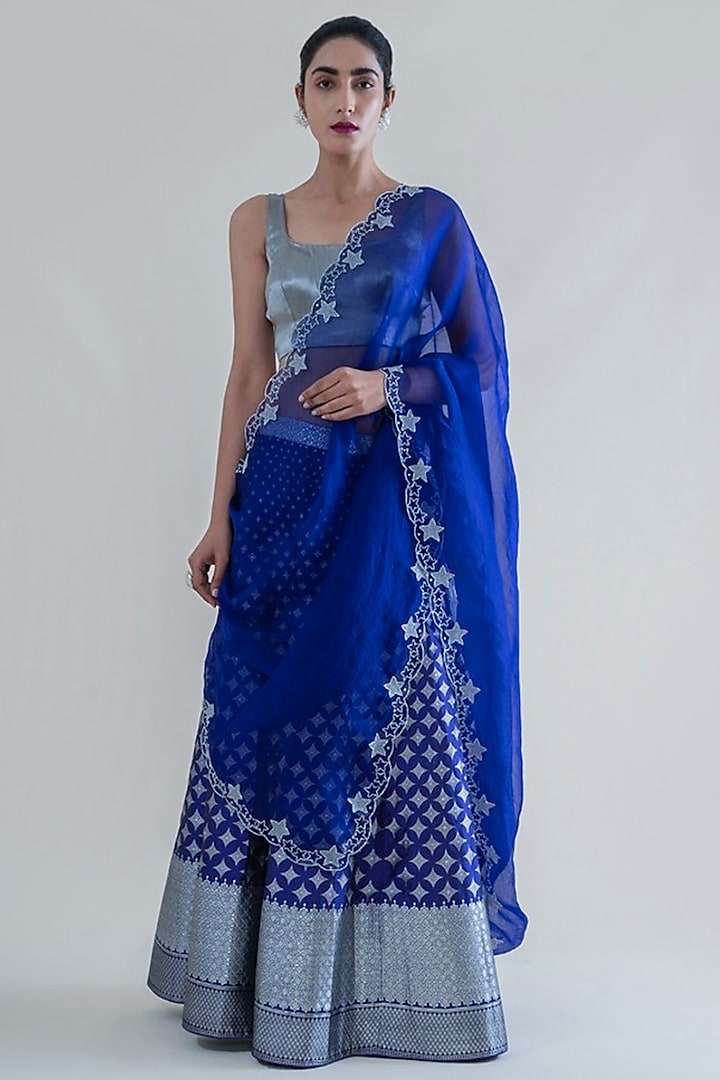Indigo Blue Banarasi Lehenga With Dupatta by Ekaya