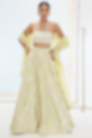 Pista Green Pure Silk Hand Embroidered Wedding Lehenga Set by Ekaya at Pernia's Pop Up Shop