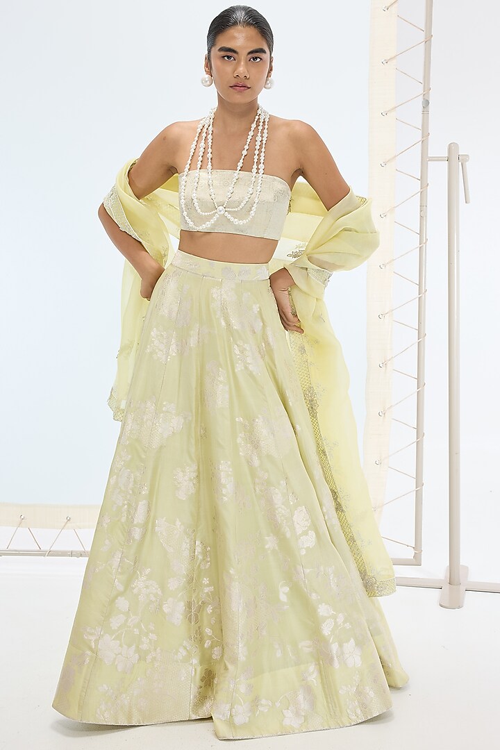Pista Green Pure Silk Hand Embroidered Wedding Lehenga Set by Ekaya at Pernia's Pop Up Shop