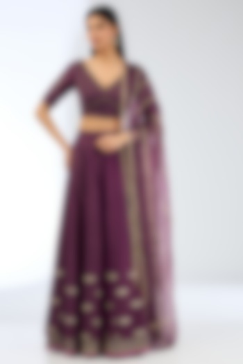 Wine Silk Handwoven Wedding Lehenga Set by Ekaya at Pernia's Pop Up Shop