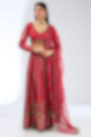 Red Silk Handwoven Wedding Lehenga Set by Ekaya at Pernia's Pop Up Shop