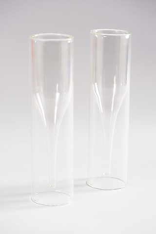 Transparent Flute Glasses (Set of 2) by Elysian Home