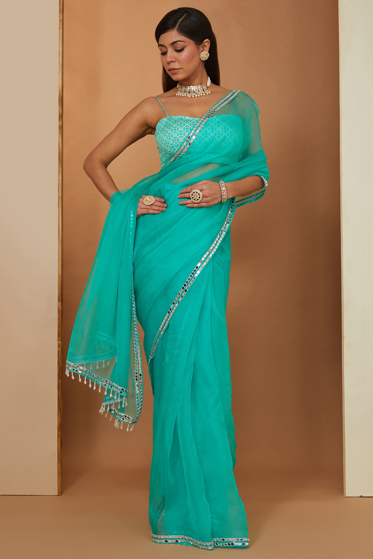 Sky Blue Organza Saree With Printed Work, ऑर्गेंजा साड़ी - Bhakti Silk  Mills, Surat | ID: 2851522691297