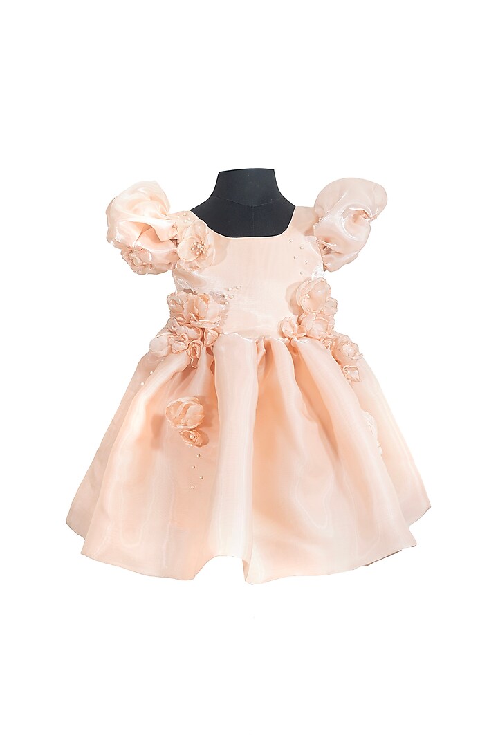 Light Pink Organza Floral Embroidered Dress For Girls by Fairy Frills at Pernia's Pop Up Shop