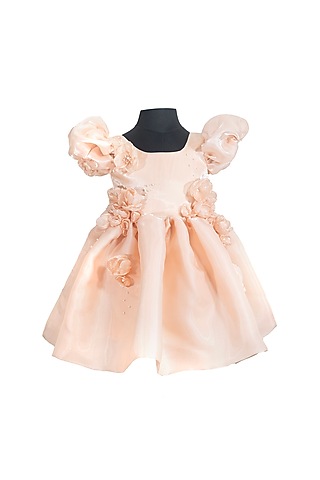 Light Pink Organza Floral Embroidered Dress For Girls by Fairy Frills