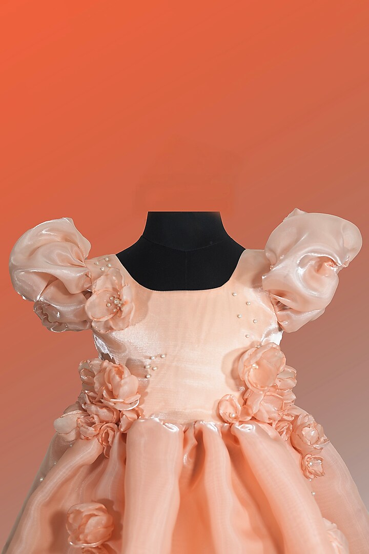 Light Pink Organza Floral Embroidered Dress For Girls by Fairy Frills at Pernia's Pop Up Shop