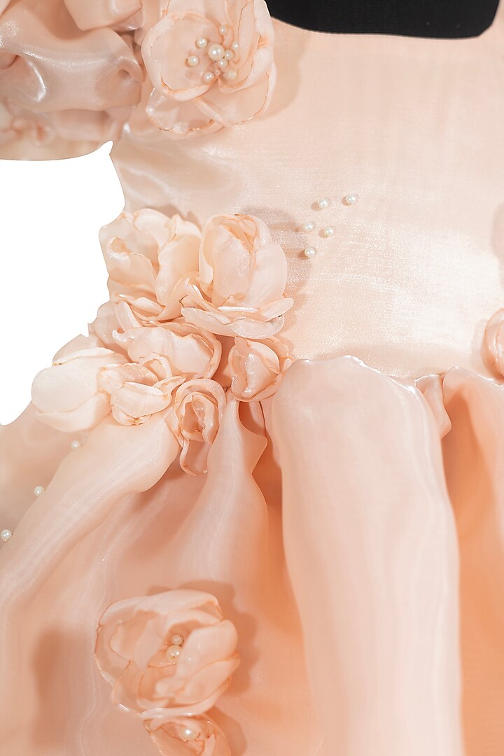 Light Pink Organza Floral Embroidered Dress For Girls by Fairy Frills at Pernia's Pop Up Shop