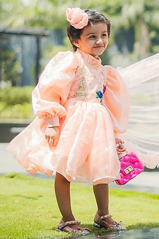 Peach Tulle & Silk Embroidered Dress For Girls by Fairy Frills
