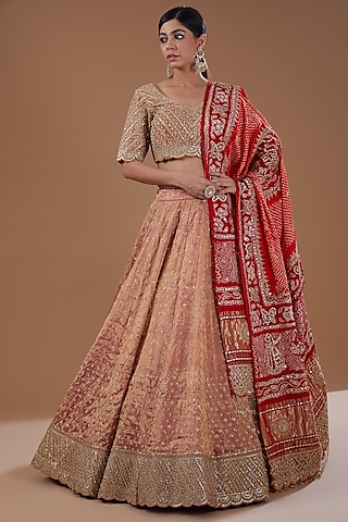 Rust-Orange Banarasi Tissue Lehenga Set by Faabiiana