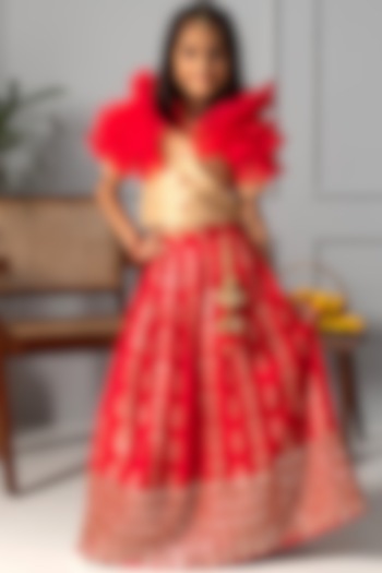 Red Net Embroidered Lehenga Set For Girls by Free Sparrow at Pernia's Pop Up Shop