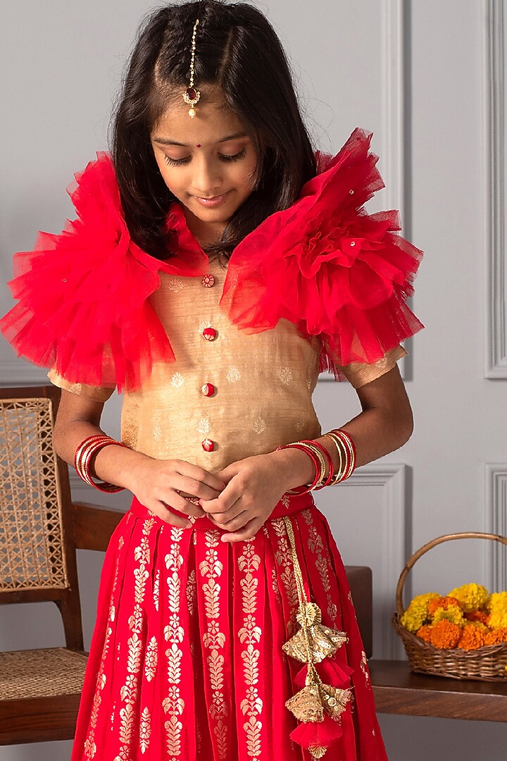 Red Net Embroidered Lehenga Set For Girls by Free Sparrow at Pernia's Pop Up Shop