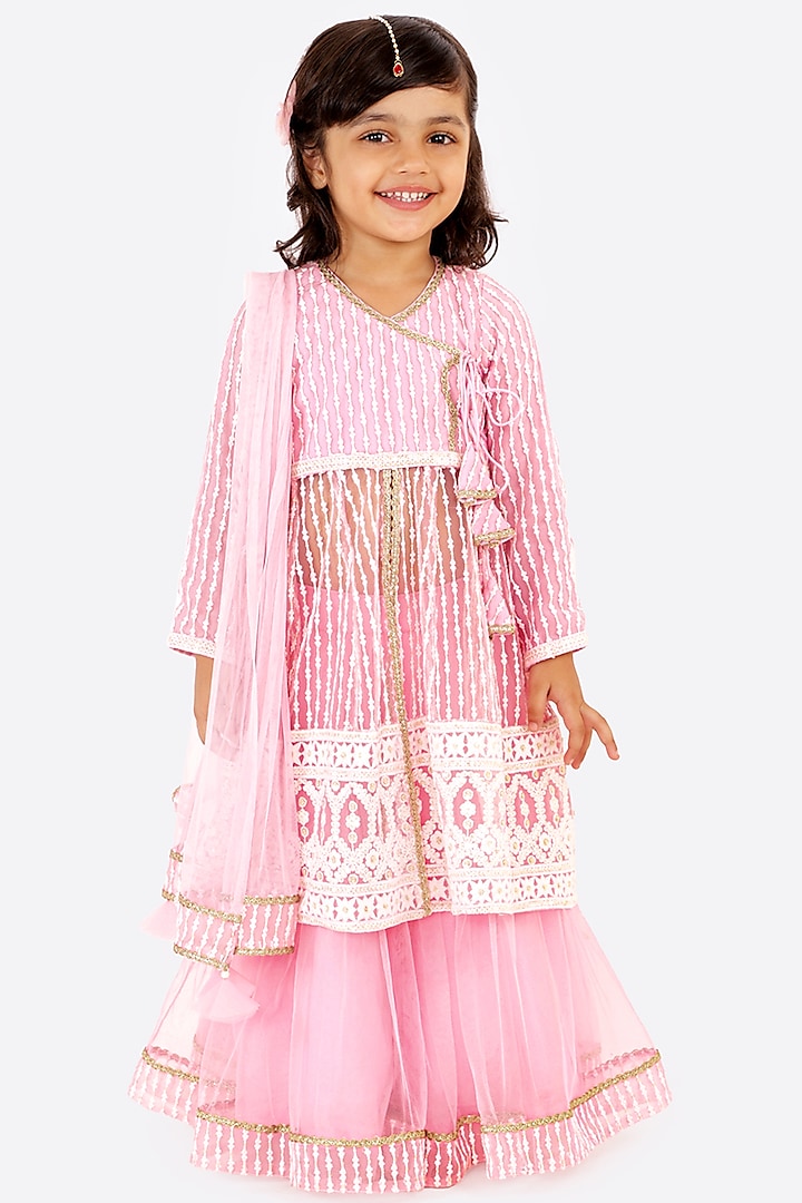 Blush Pink Thread Embroidered Anarkali Set For Girls by Free Sparrow