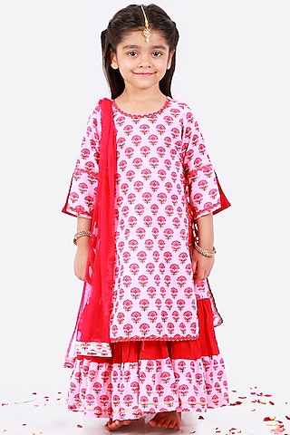 Blush Pink Thread Embroidered Anarkali