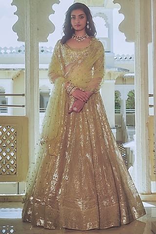 Pista Green Net Gold Foil Printed & Embroidered Lehenga Set by Falguni Shane Peacock