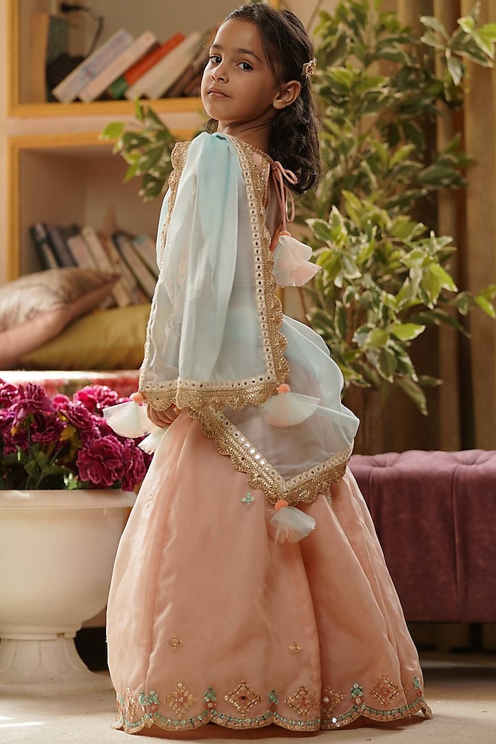 Peach Organza Embroidered Lehenga Set For Girls by Fayon Kids at Pernia's Pop Up Shop