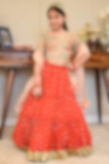 Red Georgette Embroidered Lehenga Set For Girls by Fayon Kids at Pernia's Pop Up Shop