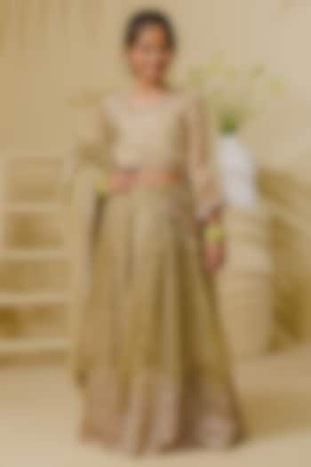 Pista Green Tissue Organza Embroidered Lehenga Set For Girls by Fayon Kids at Pernia's Pop Up Shop