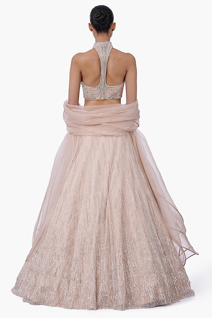 Haze Champagne Net Embellished Bridal Lehenga Set by Gaurav Gupta at Pernia's Pop Up Shop