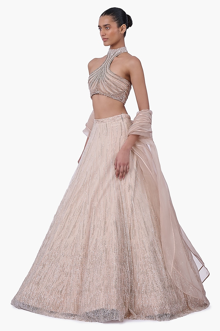 Haze Champagne Net Embellished Bridal Lehenga Set by Gaurav Gupta at Pernia's Pop Up Shop