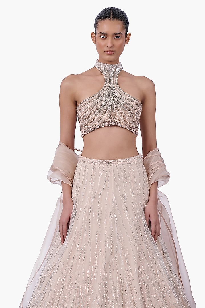 Haze Champagne Net Embellished Bridal Lehenga Set by Gaurav Gupta at Pernia's Pop Up Shop