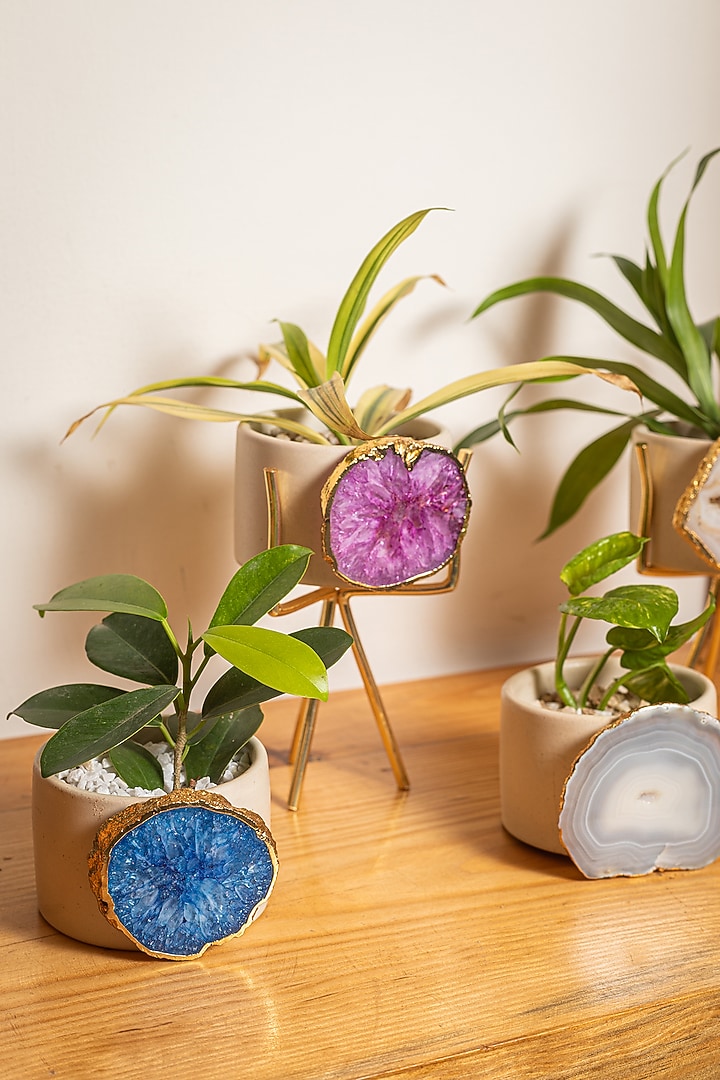Pink Agate Planter by Gemtherapy at Pernia's Pop Up Shop