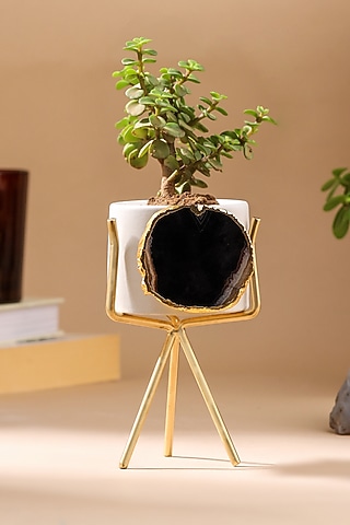Black & Grey Agate Stone Desk Planter by Gemtherapy
