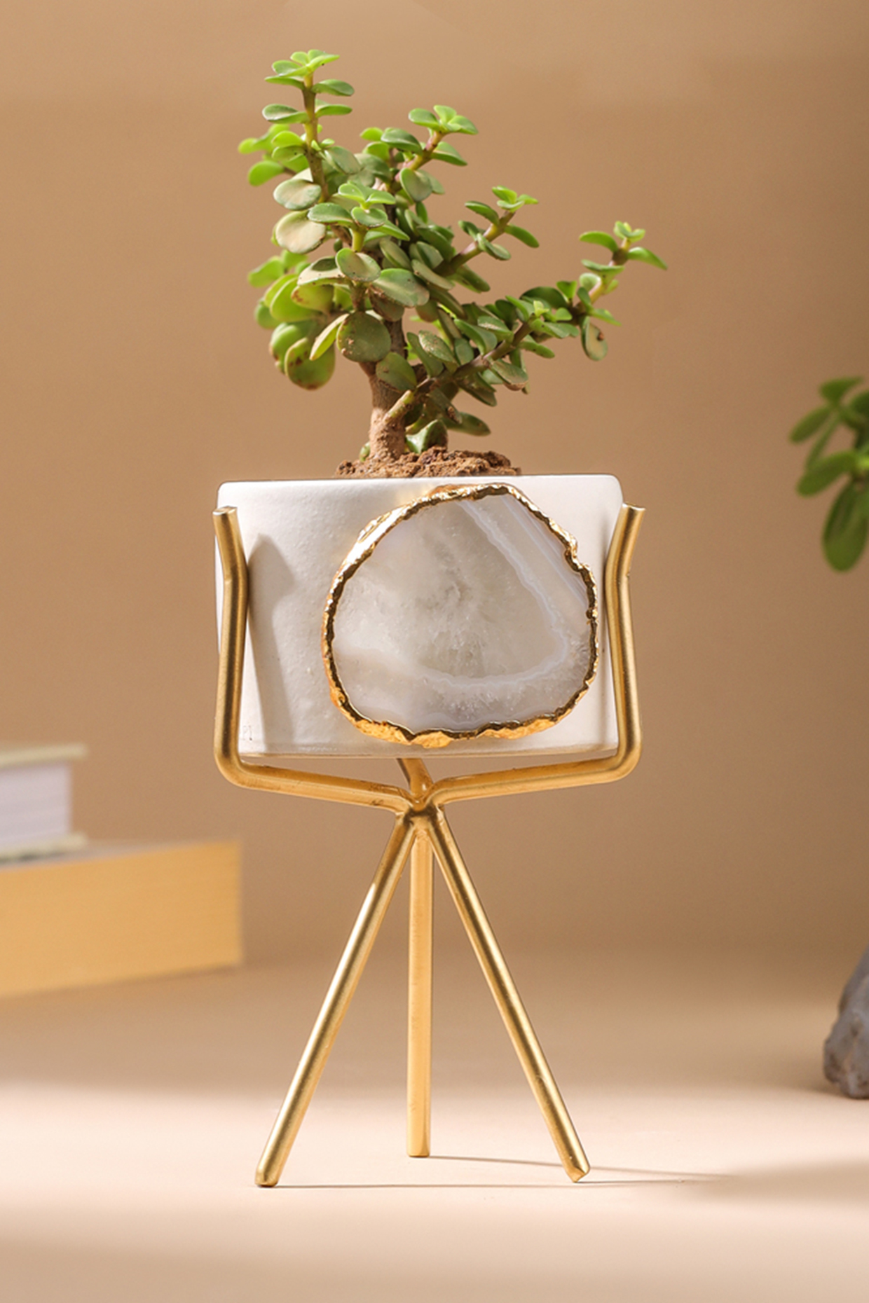 White Agate Stone Planter by Gemtherapy at Pernia's Pop Up Shop