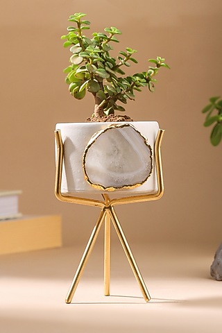 White Agate Stone Planter by Gemtherapy