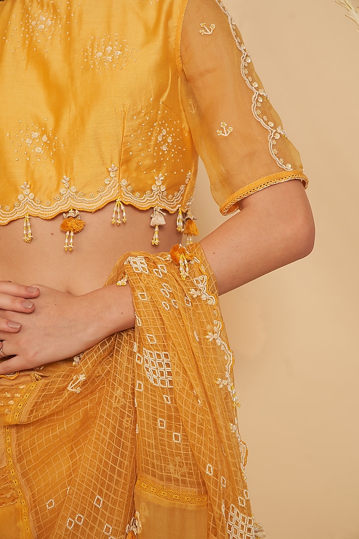 Yellow Chanderi & Organza Beads Embroidered Blouse by Gyaarah Baees at Pernia's Pop Up Shop