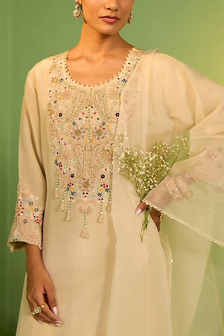 Mint Green Shimmer Organza Thread Work Kurta Set by House of Armuse at Pernia's Pop Up Shop