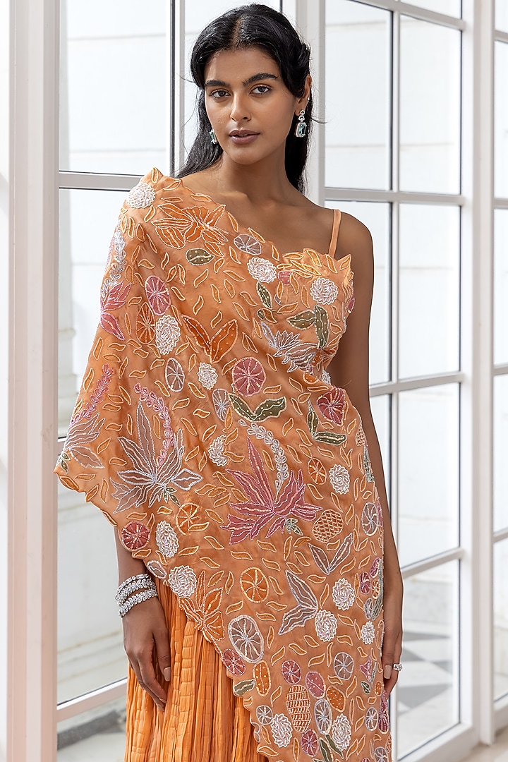 Warm Burnt Orange Satin Organza Floral Motifs Embroidered Cape Party Wear Dress by House of Armuse at Pernia's Pop Up Shop