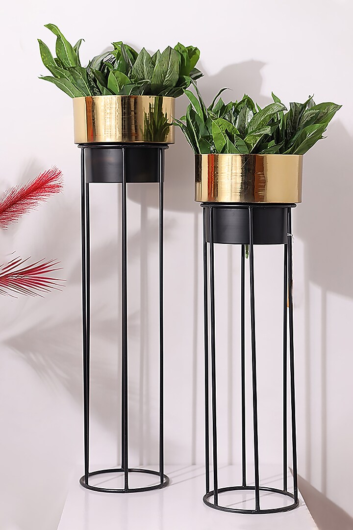 Gold & Black Metal Round Planters (Set of 2) by Order Happiness at Pernia's Pop Up Shop