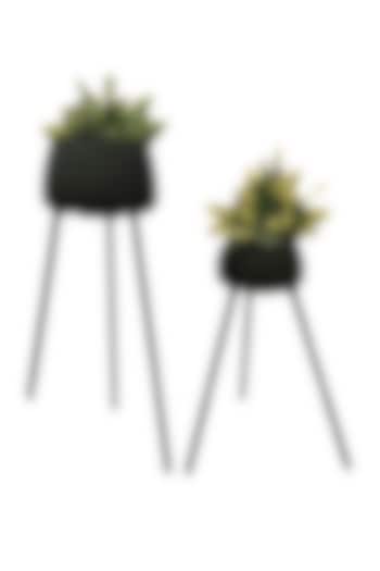 Black Metal Planters (Set of 2) by Order Happiness