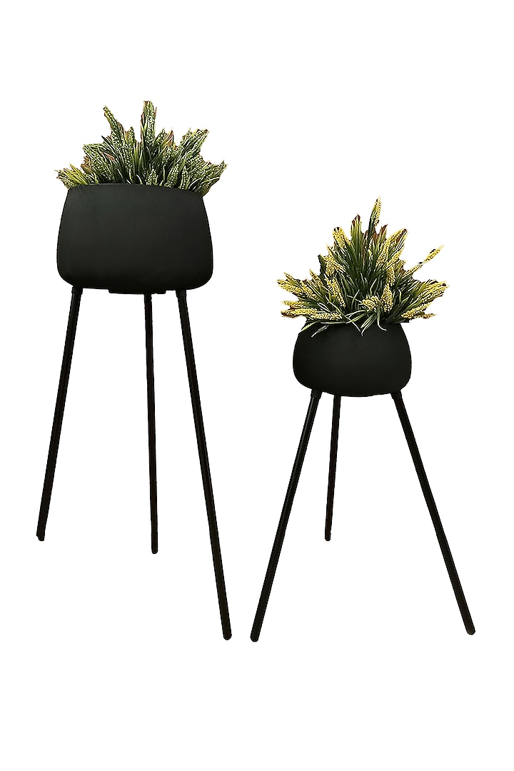 Black Metal Planters (Set of 2) by Order Happiness